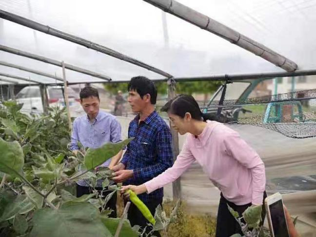 1672899678851211.png 640.png