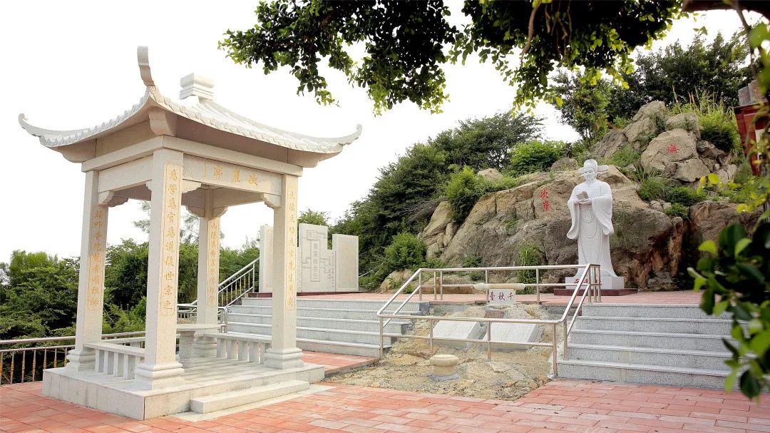 1769395234406373.jpg 9.jpg